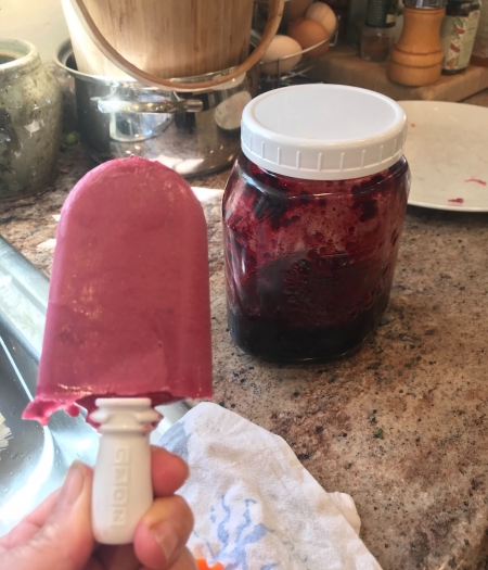Excess ripe fruit and even old preserves can be used to make delicious and healthy popsicles that everyone will love.